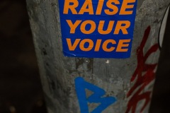 New York Said