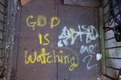 New York Said