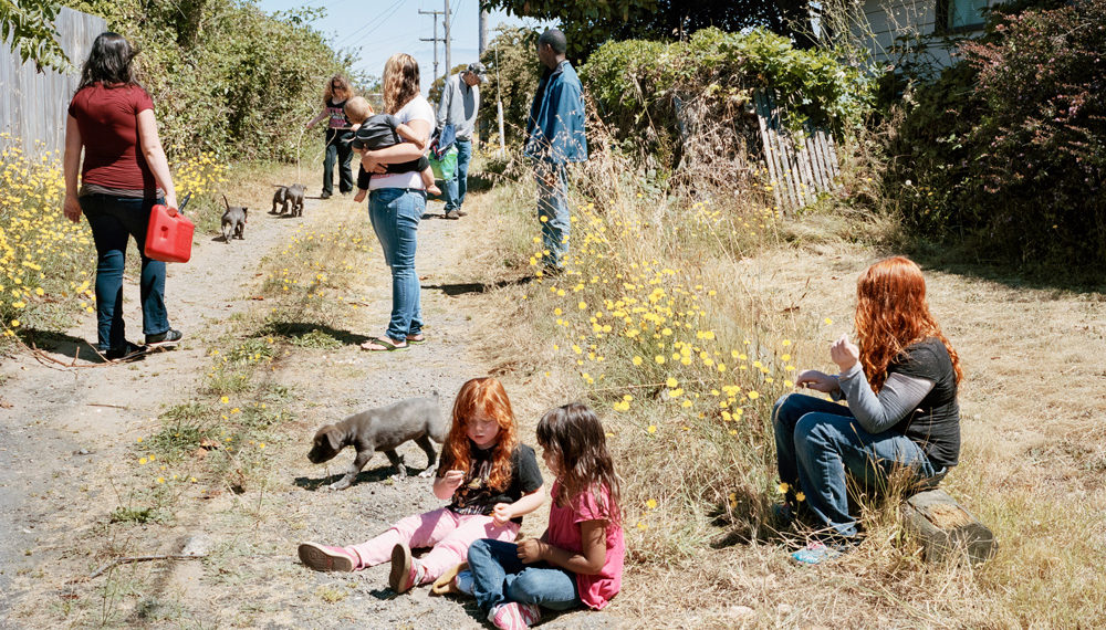 Curran Hatleberg, Lost Coast (8), 2014. © Curran Hatleberg