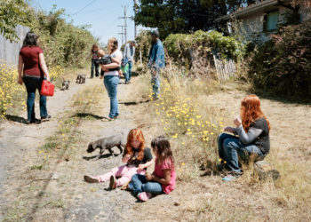 Curran Hatleberg, Lost Coast (8), 2014. © Curran Hatleberg