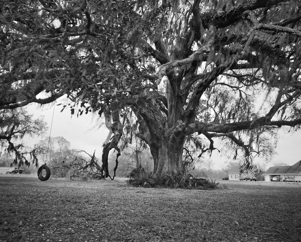 Vanessa Winship, Untitled (Swing on Tree), Franklin, Louisiana, February 2012. © Vanessa Winship