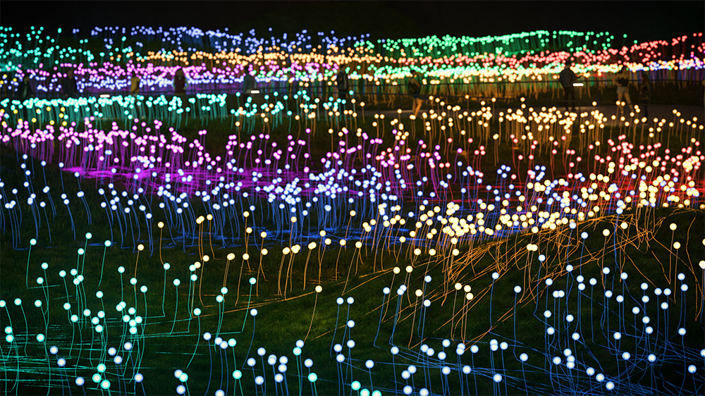 Conceptual Rendering of Field of Light at Freedom Plaza, Courtesy of The Soloviev Foundation